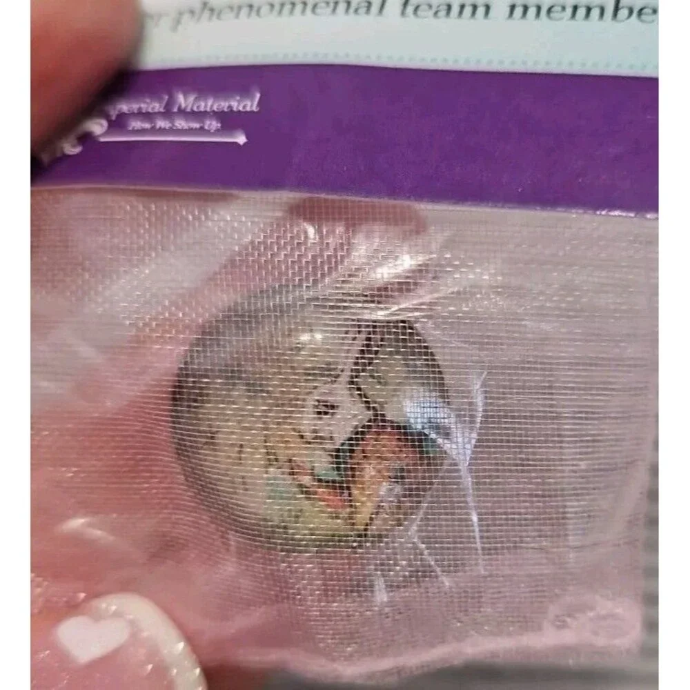 Thirty One 31 Consultant Button Pin Recruiting Enamel Bunny Peter Rabbit New